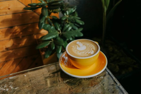 Comment Accessoiriser Vos Tenues pour un Effet Wow